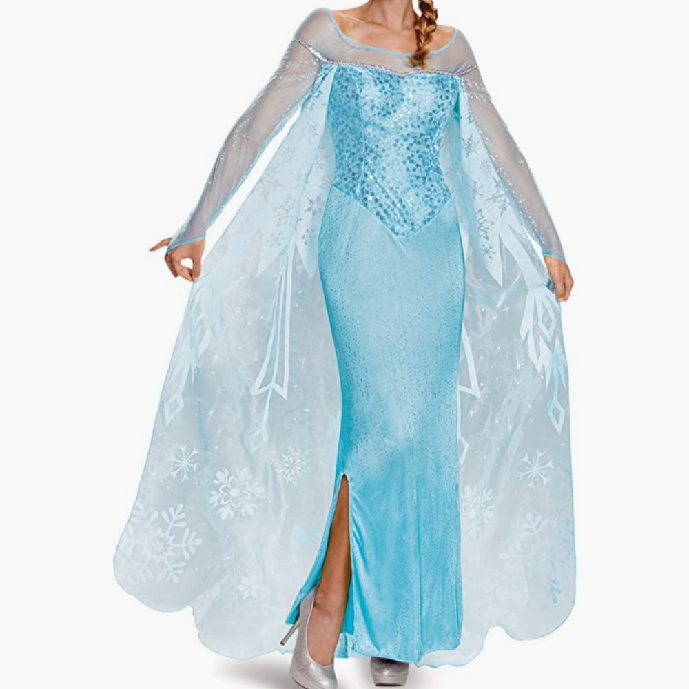 Disney Frozen Adult Elsa Costume Dress & Wig
